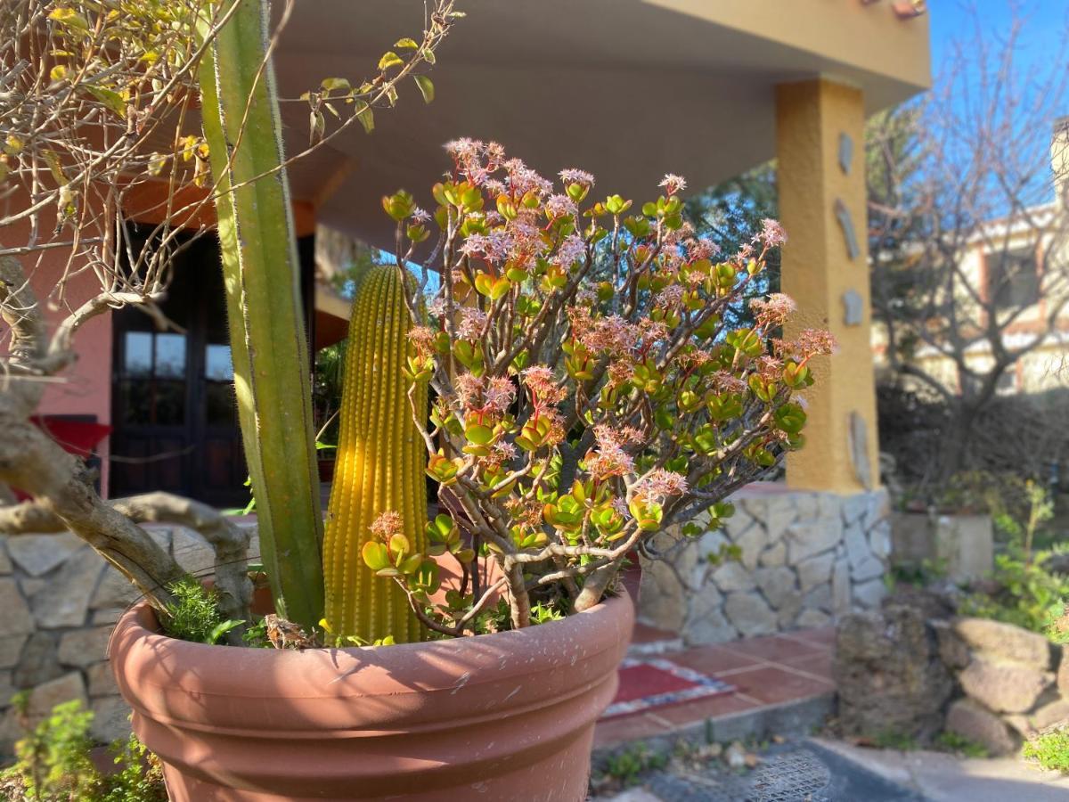 Lovely Home 5 Min Walk To The Beach, 3 Bedrooms Ample Outdoor Relax And Wifi Капитана Экстерьер фото